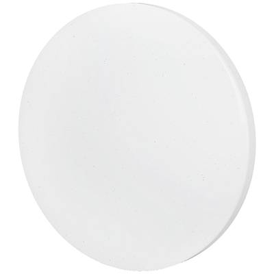 Assiette ronde blanche à surface lisse, probablement en porcelaine ou en céramique, sur un fond blanc.