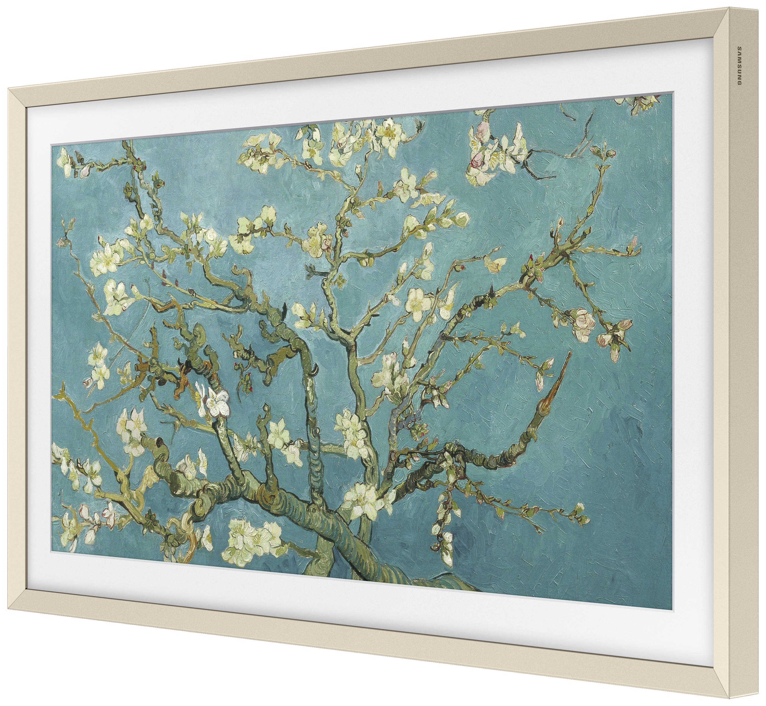 Un tableau représente un amandier en fleurs avec des fleurs blanches devant un ciel turquoise.