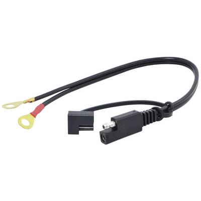 Câble de connexion noir avec deux cosses à œillet et une fiche rectangulaire, adapté pour des connexions électriques légères.