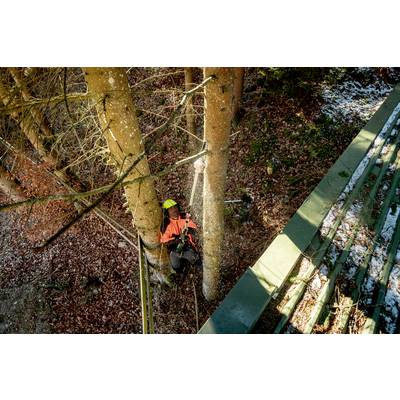 Un ouvrier forestier, attaché par des cordes de sécurité, se tient entre deux grands arbres et coupe une branche, portant un équipement de protection.