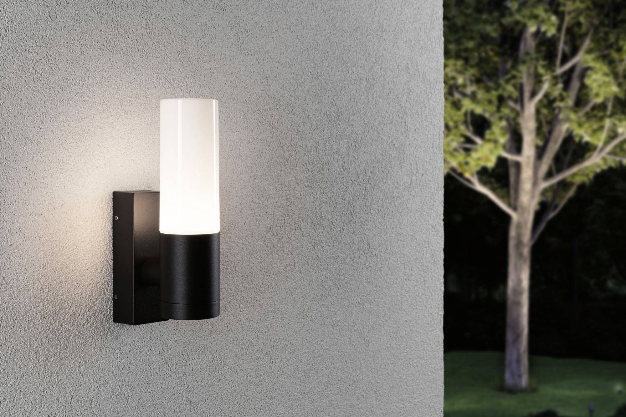Applique murale extérieure illuminée sur un mur gris ; un arbre en arrière-plan.