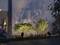 Des buissons éclairés la nuit projettent des ombres sur un mur. L'éclairage décoratif de jardin met en valeur les structures des plantes.