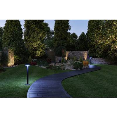 Un chemin de jardin en bois illuminé serpente autour d'un étang, entouré d'arbres et d'arbustes, au crépuscule.