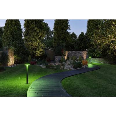 Jardin soigné au crépuscule, éclairé par des lampes de chemin discrètes qui illuminent un sentier sinueux à travers une prairie verte et des arbres.