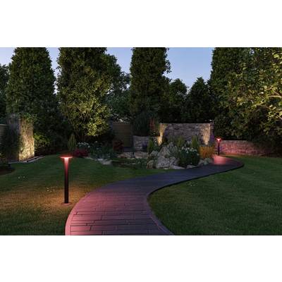 Jardin soigné au crépuscule avec un chemin sinueux en dalles de pierre, bordé de lampadaires éclairés, entouré d'arbres et de fleurs.