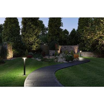 Jardin de nuit avec un chemin sinueux illuminé, entouré de gazon, d'arbres et de parterres de fleurs, avec un mur de pierre en arrière-plan.