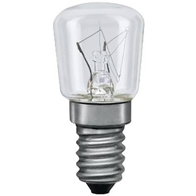 Ampoule à filament avec filetage métallique, ampoule en verre transparent et fil visible à l'intérieur, adaptée aux petites douilles d'éclairage.