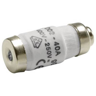 Fusible cylindrique blanc avec capuchons métalliques. Marquage 'D02 - 40A, 400V - 250V'.