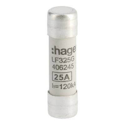 Un fusible Hager portant l'inscription 'LF325G 406245 25A I=120kA'.
