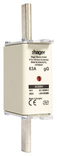 Fusible portant l'inscription 'Hager', 63A, 690V, adapté pour les installations électriques.
