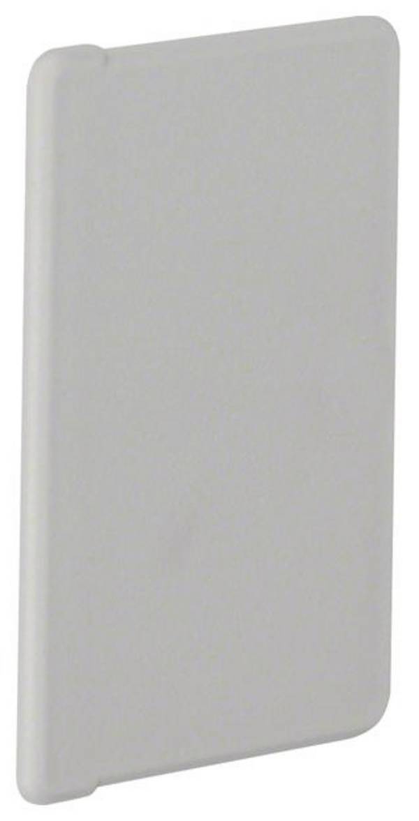 Hager B4006047030 Embout  (l x H) 60 mm x 40 mm 1 pc(s) gris