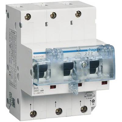 Un disjoncteur blanc bipolaire avec des détails bleus sur lequel est inscrit 'hager'. Il dispose de bornes à vis et est adapté aux fusibles électriques.