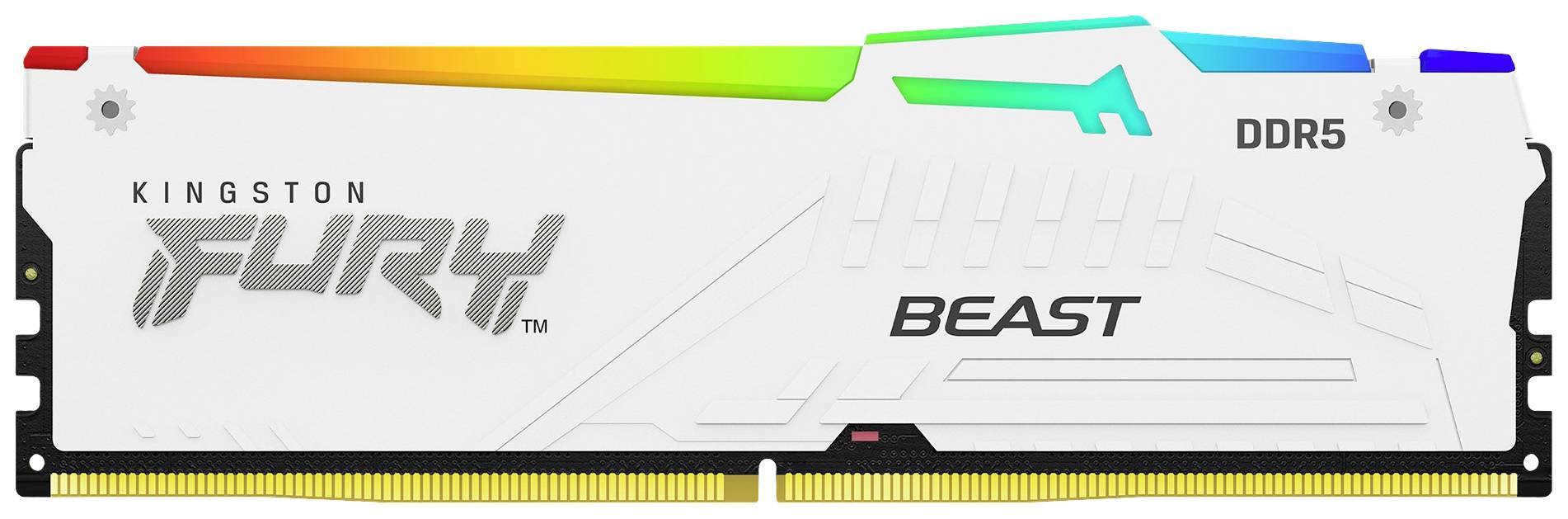 Un barrette de RAM DDR5 blanche de Kingston portant l'inscription 'Fury Beast' avec un éclairage RVB coloré sur le bord supérieur.