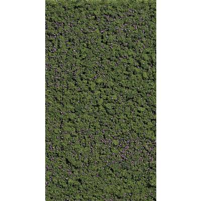 Haie vert avec quelques fleurs lilas éparses, dense et bien entretenu.