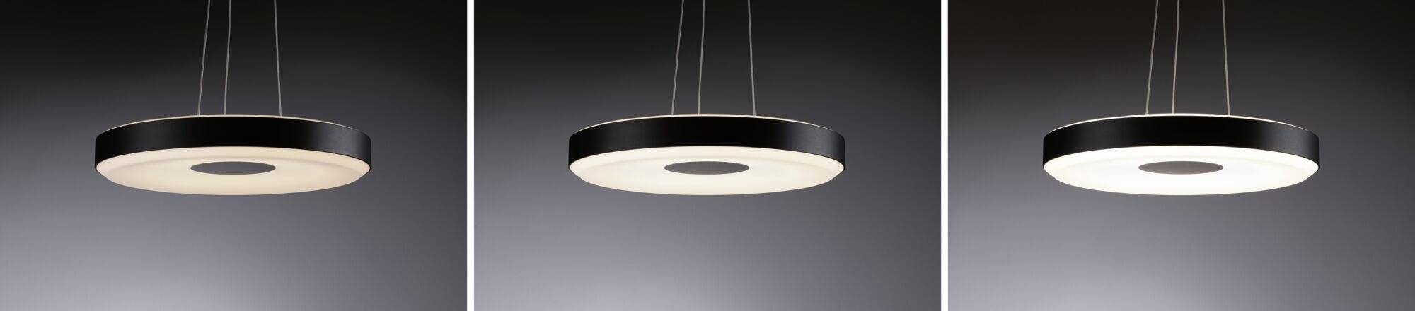 Trois lampes suspendues modernes, rondes, avec bordure noire et face inférieure éclairée, à différents niveaux d'intensité, sur un fond gris.