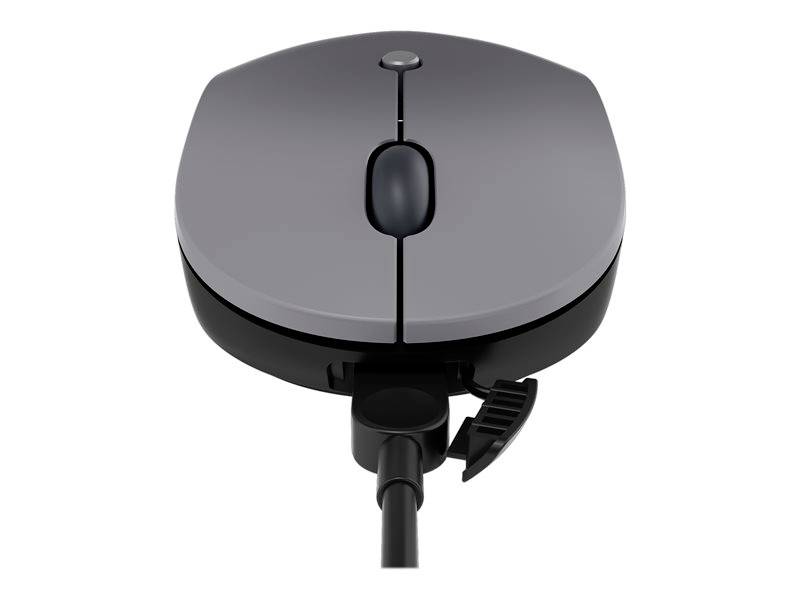 Souris d'ordinateur grise au design minimaliste. Un molette de défilement et des boutons de souris sont visibles. Un port câblé est visible en dessous.