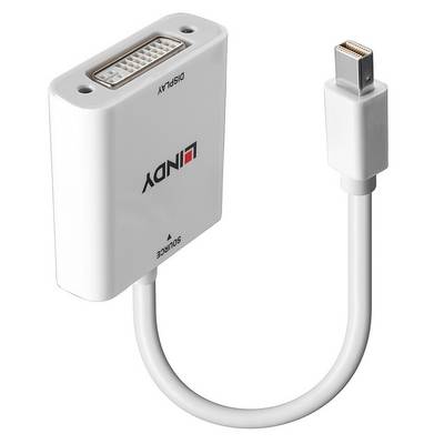 Adaptateur DVI vers Mini DisplayPort avec boîtier blanc et câble court. Adaptateur permettant de connecter des écrans à des ordinateurs.