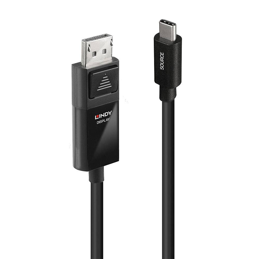 Un câble noir avec une fiche DisplayPort à gauche et une fiche USB-C à droite, étiqueté 'LINDY DISPLAY' et 'SOURCE'.