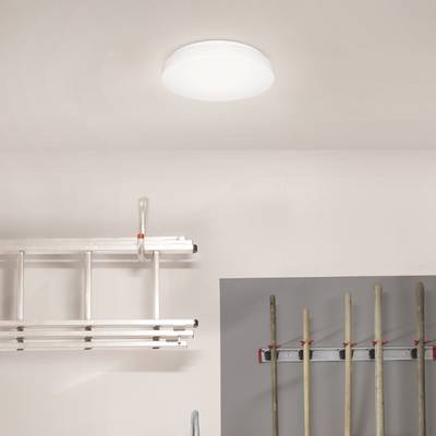 Un projecteur rond et blanc est allumé dans une pièce. À côté du projecteur, une échelle est suspendue au mur, avec des lattes de bois coincées au-dessus.