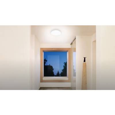 Un couloir simple et lumineux avec une grande fenêtre carrée offrant une vue sur un ciel bleu parsemé d'arbres.