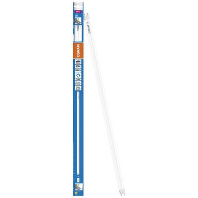 Un tube LED OSRAM avec emballage, 6000 Kelvin, 800 lumens, économe en énergie. Idéal pour un éclairage lumineux à l'intérieur.