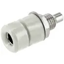 econ connect TB40WS Prise encastrée embase femelle blanc 1 pc(s) Bulk