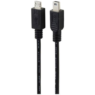 Un câble USB noir avec deux types de connecteurs différents à chaque extrémité.