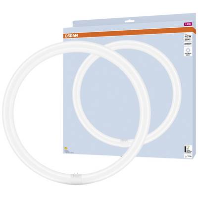 'Deux tubes lumineux LED blancs et ronds de la marque Osram sur un fond bleu. 40 W, 2200 lumens, 3000 K, éclairage économe en énergie.'