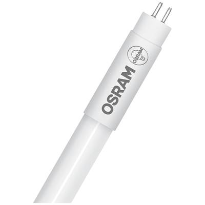 OSRAM LED CEE 2021: F (A - G) G5 forme de tube   4 W = 8 W blanc neutre (Ø x H) 18.50 mm x 18.50 mm  1 pc(s)