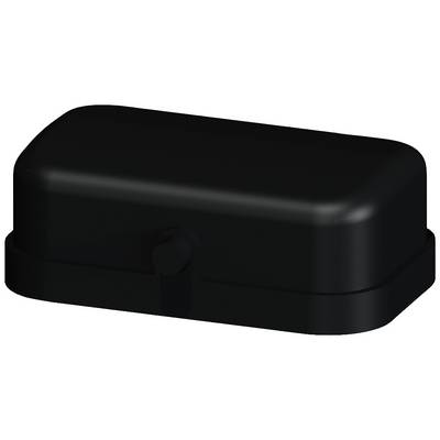 Un récipient rectangulaire noir aux coins arrondis avec un couvercle.