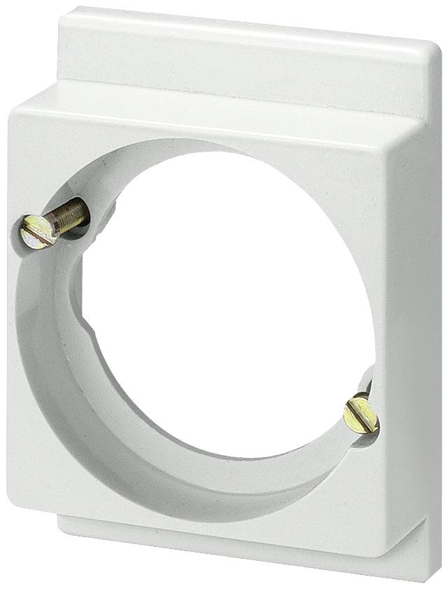 Un cadre de maintien blanc en plastique avec deux vis métalliques pour la fixation. Conçu pour des objets ronds.