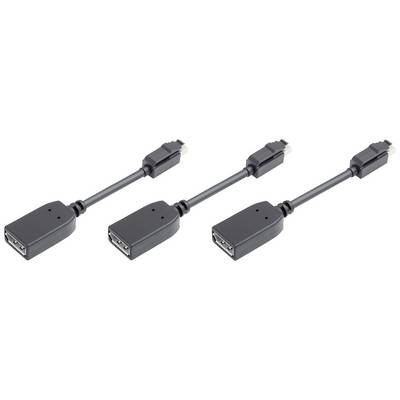 Trois câbles adaptateurs DisplayPort identiques avec des connecteurs noirs et des câbles courts, alignés en rang.