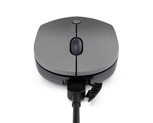 Souris d'ordinateur grise, filaire, avec deux boutons et une molette de défilement, sur fond blanc.