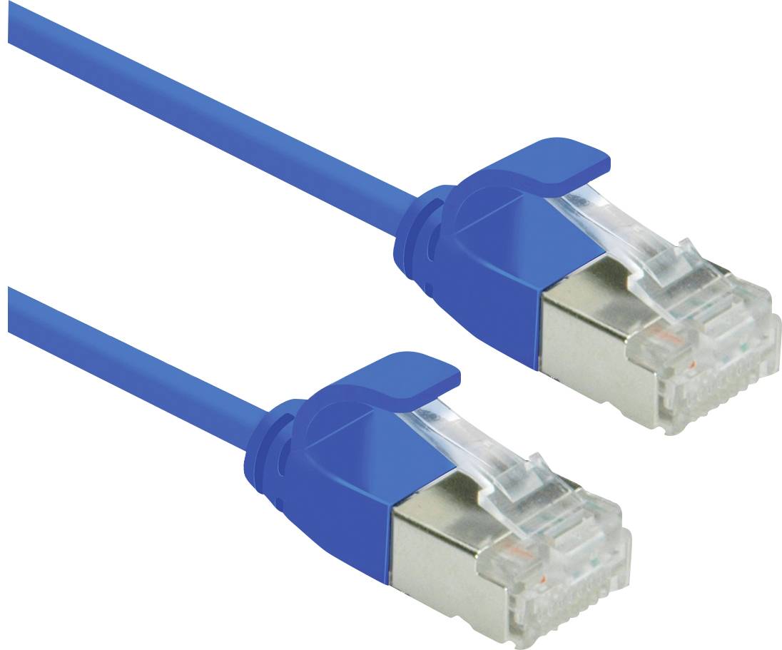 Deux câbles Ethernet bleus avec des connecteurs RJ45 à chaque extrémité, utilisés pour la connexion réseau.