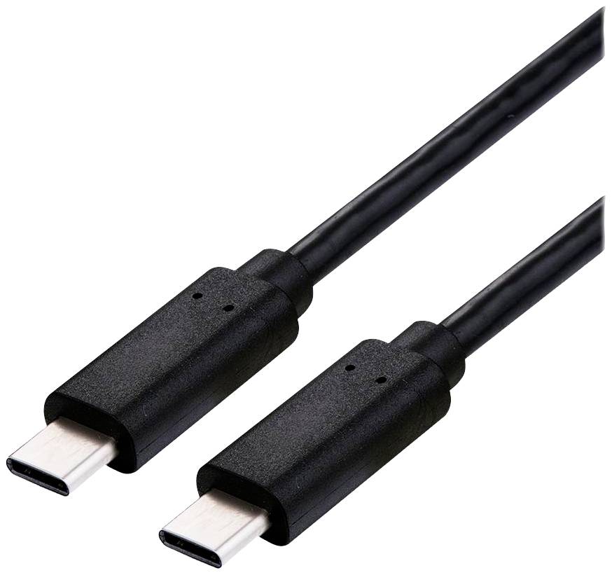 Câble USB-C noir avec deux connecteurs, adapté pour la connexion et la charge d'appareils.