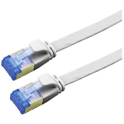 Deux câbles Ethernet blancs avec des connecteurs bleus utilisés pour la connexion réseau.
