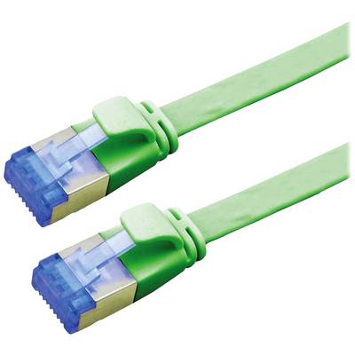 Deux câbles Ethernet verts avec des connecteurs bleus sont disposés parallèlement côte à côte.