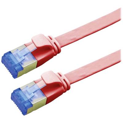 Deux câbles réseau rouges avec des connecteurs bleus, posés côte à côte. Idéaux pour la connexion d'ordinateurs aux réseaux Internet.