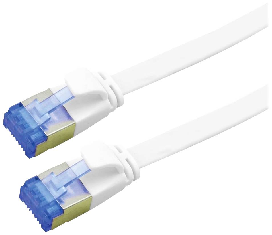 Deux câbles Ethernet blancs avec des connecteurs bleus, placés côte à côte, montrent les ports de connexion réseau.