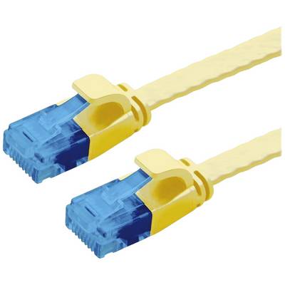 Deux câbles réseau jaunes avec des connecteurs bleus, pouvant être utilisés pour connecter des appareils dans un réseau.