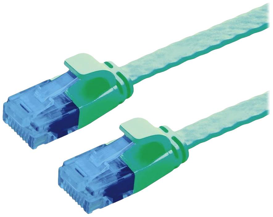 Deux fiches Ethernet vertes et bleues adjacentes, utilisées pour les connexions réseau.