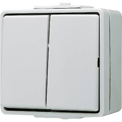 Un interrupteur mural blanc rectangulaire avec deux interrupteurs à bascule séparés pour contrôler deux sources lumineuses différentes.