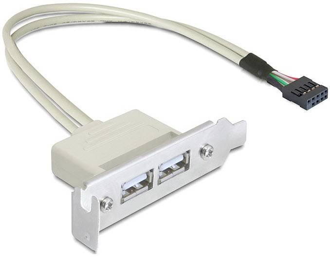 'Câble d'extension avec deux ports USB et fiche multibroche. Idéal pour connecter des périphériques internes à des ports externes.'
