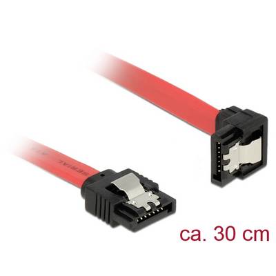Un câble de données SATA rouge avec des connecteurs noirs ; longueur d'environ 30 cm.