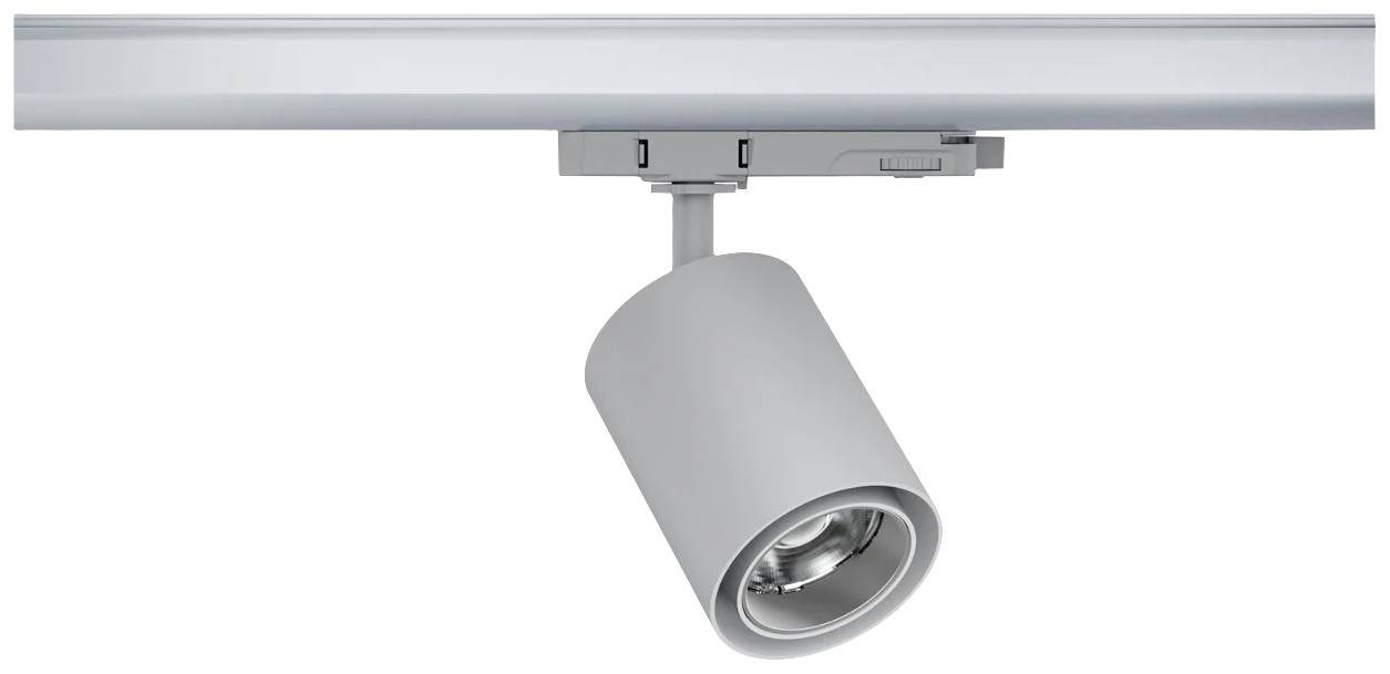 Un spot de plafond moderne en métal, monté sur un rail, permet un éclairage flexible grâce à sa tête de lampe pivotante.