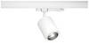 Paulmann Kratos Spot LED sur rail ProRail3 9 W LED blanc