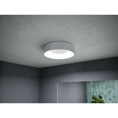 Un luminaire rond et moderne diffuse une lumière vive au plafond gris d'une pièce, à côté d'une plante et d'un mur carrelé.