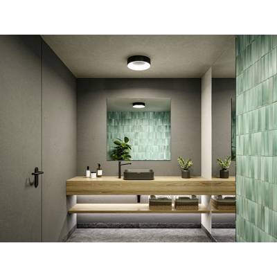Vue d'une salle de bains moderne : mur carrelé de vert, plan de travail en bois avec lavabo noir, deux plantes, éclairage discret.