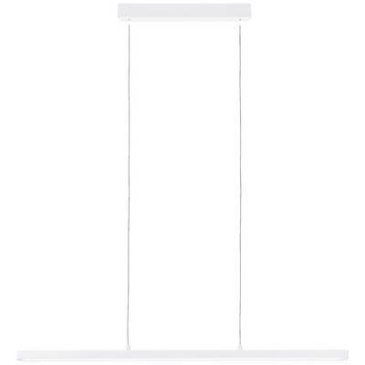 Une lampe suspendue minimaliste et moderne en blanc, suspendue à deux câbles. Elle convient parfaitement à l'éclairage des espaces intérieurs.