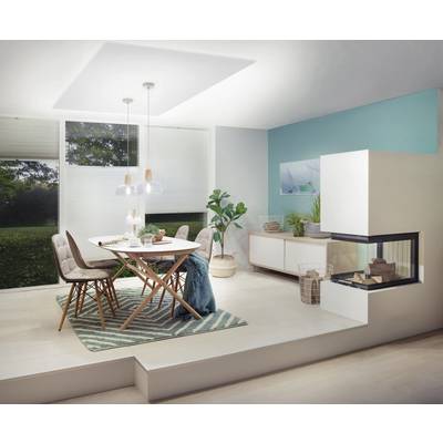 Salle à manger avec une table en bois et six chaises sur un tapis rayé. Une plante et un feu de cheminée moderne complètent l'ambiance.